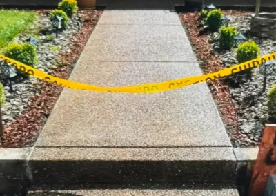 Professional Concrete Services